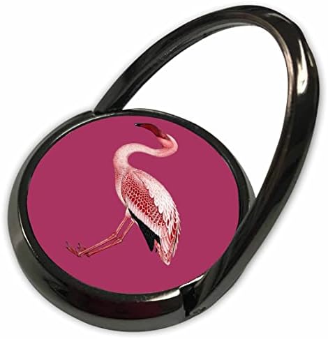 3Drose Pink Flamingo izolirana vektorska umjetnost na Fuschia Pink - Telefonski prstenovi