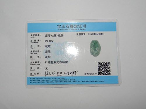 YW 1,8 Kina certificirana priroda ocjena A Hisui Jadeite Jade Fortune Pixiu i Ruyi privjesci