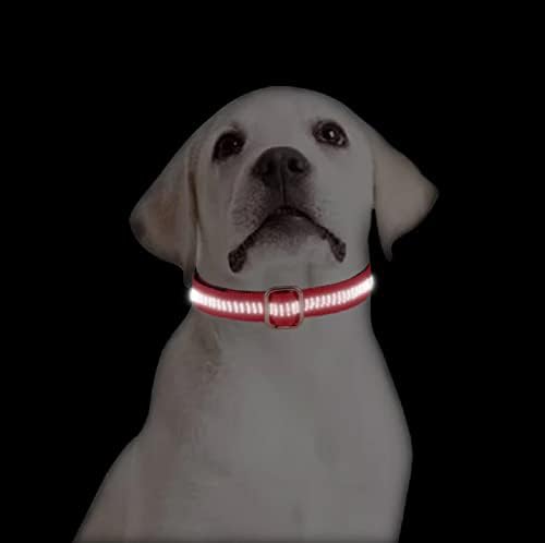 Prilagođeno besplatno ugravirano ime ovratnik najlonski plad dječak Unisex Dogs Personalizirani ovratnik za pse Mali veliki proizvodi