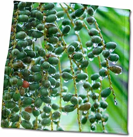 3Drose Florene Macro Plant - Berry kiša - ručnici
