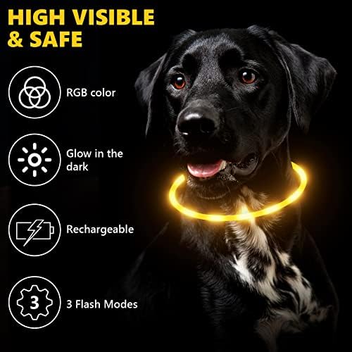 Osvijetlite pseće ovratnike, LED pseći ovratnik za sigurnost kućnih ljubimaca u tamnom, vodootpornoj punjivi za pseće ovratnike, podesiva